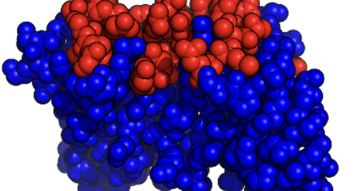 nanobodies from alpha lifetech