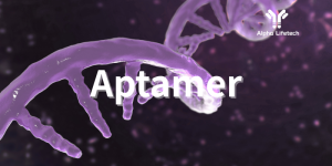 4 Aptamer