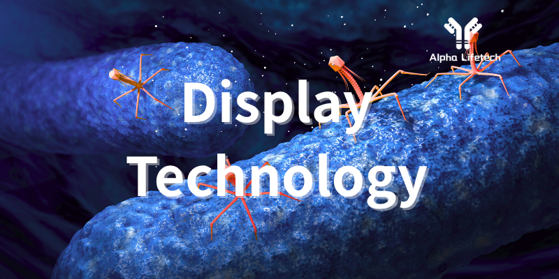 5 Display Technology (1)