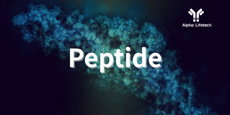 3 Peptide
