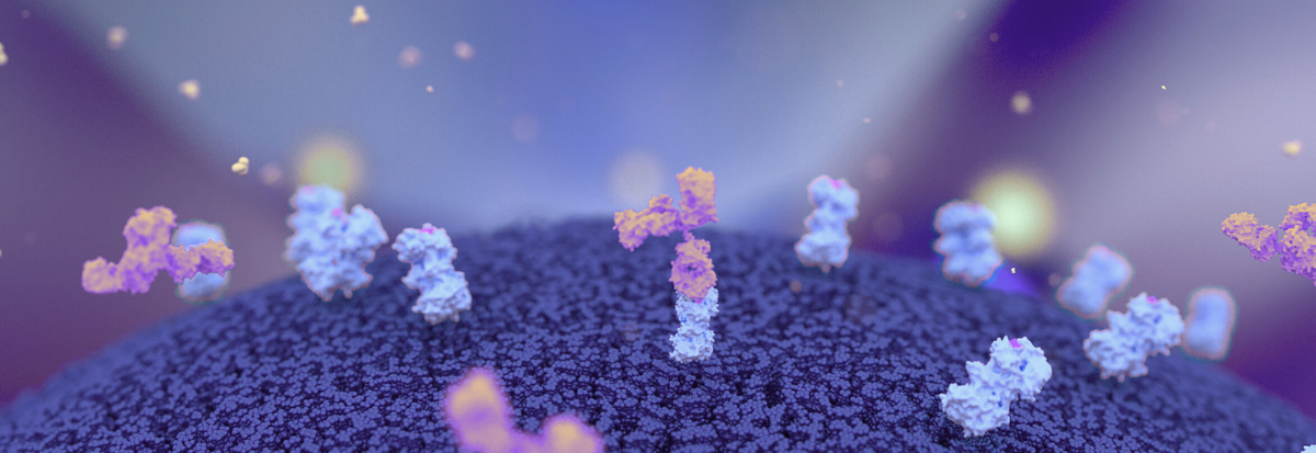 1 Cover of Antibody